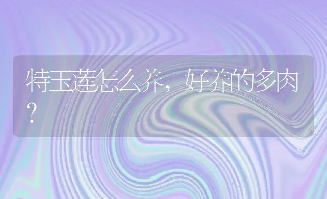 特玉莲怎么养,好养的多肉？ | 养殖常见问题