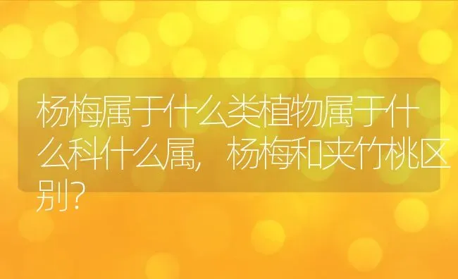 杨梅属于什么类植物属于什么科什么属,杨梅和夹竹桃区别？ | 养殖常见问题