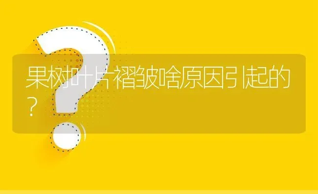 果树叶片褶皱啥原因引起的? | 养殖问题解答