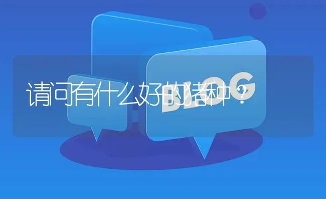 请问有什么好的猪种? | 养殖问题解答