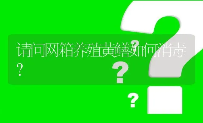 请问网箱养殖黄鳝如何消毒? | 养殖问题解答