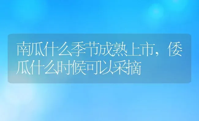 长寿花可以水培吗,长寿花可以水培吗 | 养殖常见问题