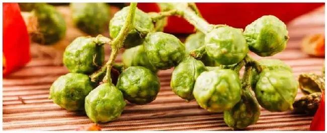 花椒什么时候浇水最好 | 农业常识