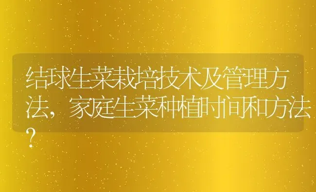 结球生菜栽培技术及管理方法,家庭生菜种植时间和方法？ | 养殖常见问题