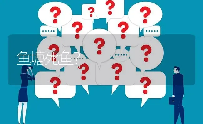 鱼塘死鱼? | 养殖问题解答