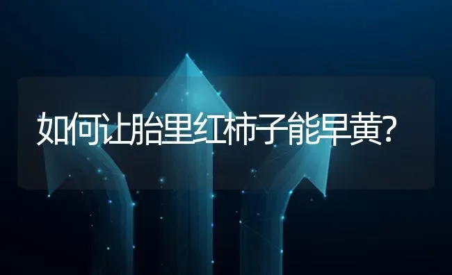 如何让胎里红柿子能早黄? | 养殖问题解答