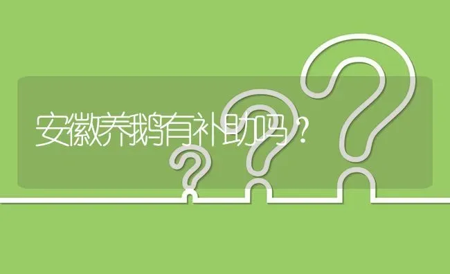 安徽养鹅有补助吗? | 养殖问题解答