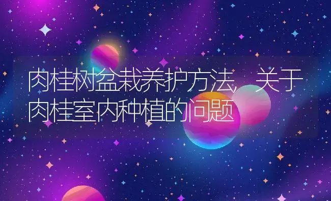 肉桂树盆栽养护方法,关于肉桂室内种植的问题 | 养殖常见问题
