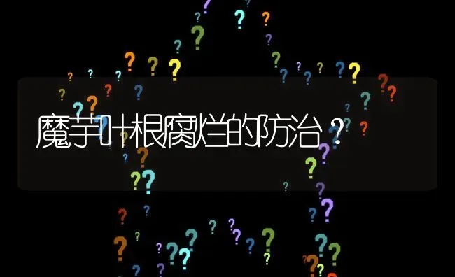 魔芋叶根腐烂的防治? | 养殖问题解答