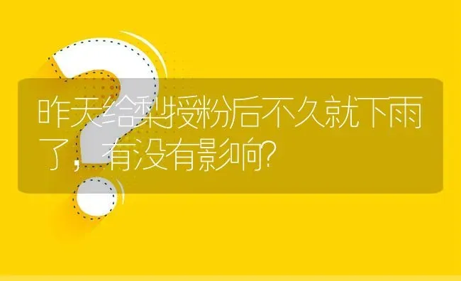 昨天给梨授粉后不久就下雨了,有没有影响? | 养殖问题解答