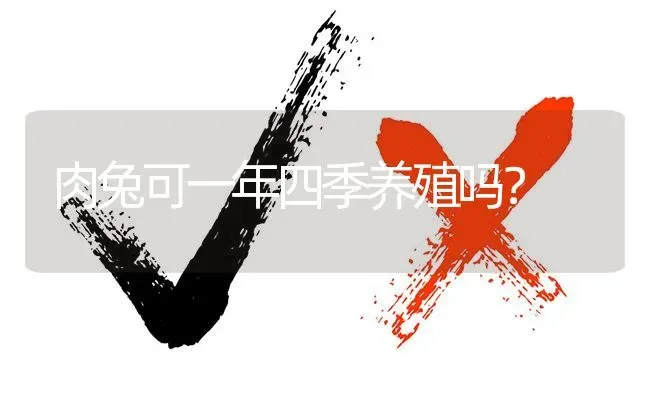 肉兔可一年四季养殖吗? | 养殖问题解答