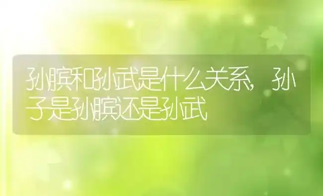 杨梅什么季节吃最好,杨梅什么季节吃最好 | 养殖常见问题