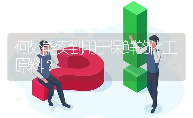 猪不吃饲料怎么回事? | 养殖问题解答