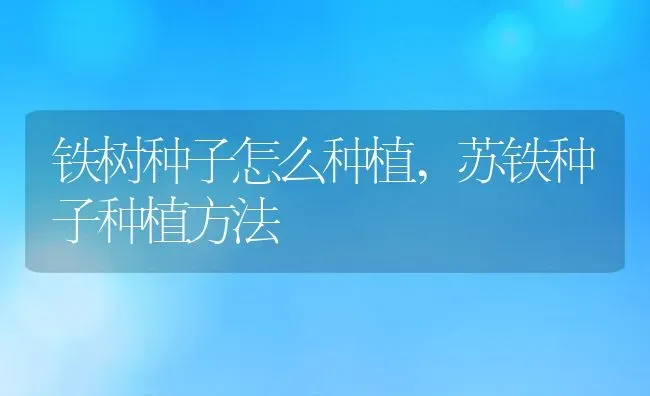 铁树种子怎么种植,苏铁种子种植方法 | 养殖常见问题