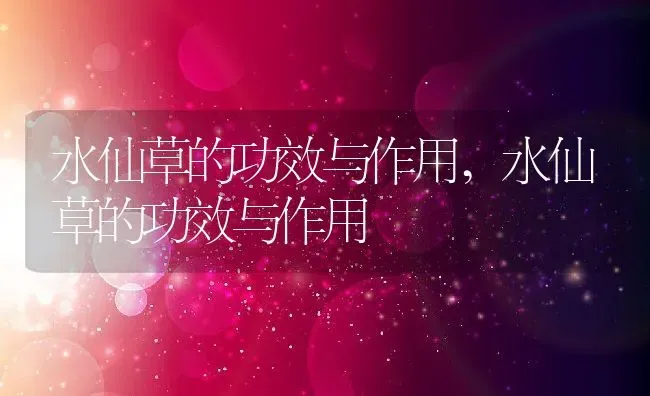 水仙草的功效与作用,水仙草的功效与作用 | 养殖常见问题