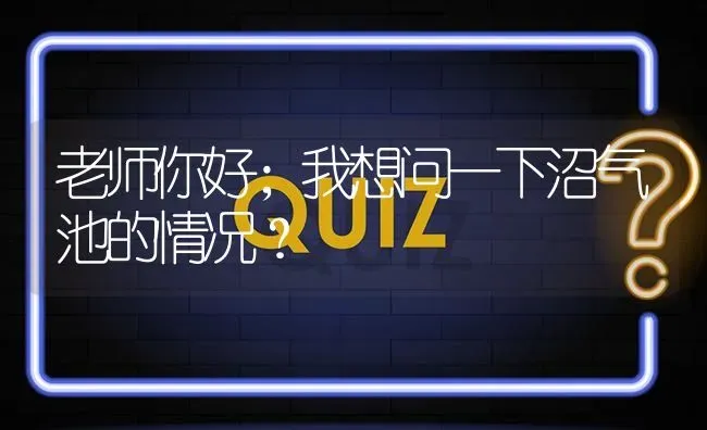 老师你好；我想问一下沼气池的情况? | 养殖问题解答