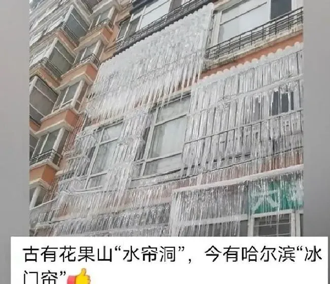 植物常识问题|奇观！哈尔滨一小区成冰帘洞 隔着屏幕都冷