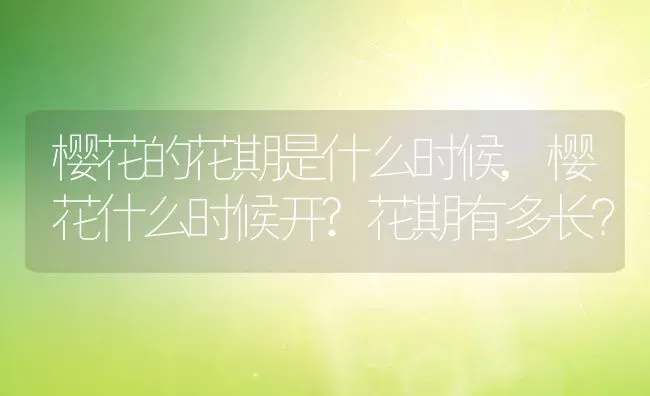 樱花的花期是什么时候,樱花什么时候开?花期有多长？ | 养殖常见问题