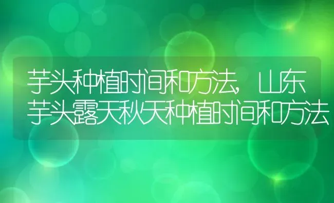 芋头种植时间和方法,山东芋头露天秋天种植时间和方法 | 养殖常见问题