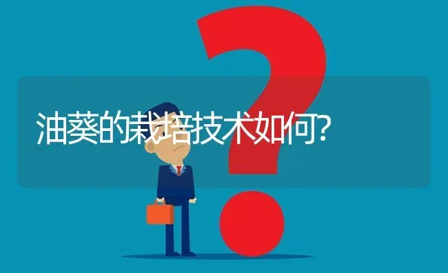 油葵的栽培技术如何? | 养殖问题解答