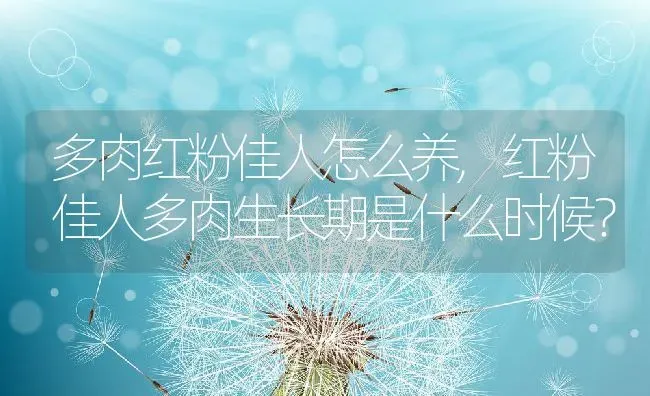 多肉红粉佳人怎么养,红粉佳人多肉生长期是什么时候？ | 养殖常见问题