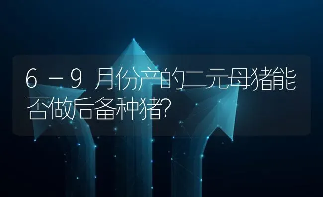 6-9月份产的二元母猪能否做后备种猪? | 养殖问题解答