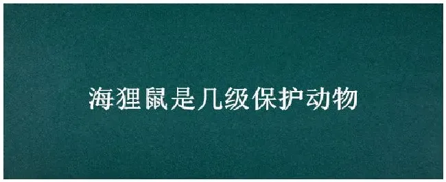 海狸鼠是几级保护动物 | 农业问题