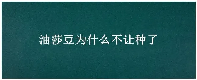 油莎豆为什么不让种了 | 农业常识