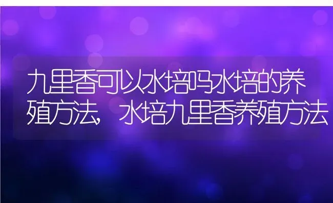 九里香可以水培吗水培的养殖方法,水培九里香养殖方法 | 养殖常见问题