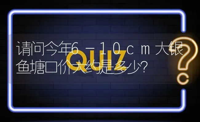 请问今年6-10cm大银鱼塘口价大约是多少? | 养殖问题解答