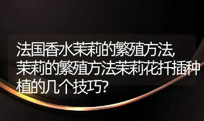 法国香水茉莉的繁殖方法,茉莉的繁殖方法茉莉花扦插种植的几个技巧？ | 养殖常见问题