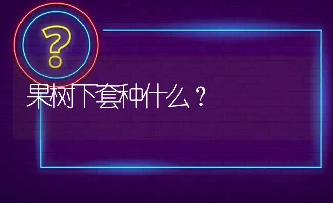 果树下套种什么? | 养殖问题解答