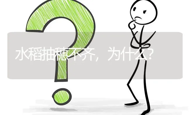 蝎子的养殖技术? | 养殖问题解答