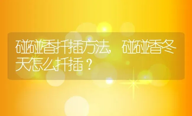 碰碰香扦插方法,碰碰香冬天怎么扦插？ | 养殖常见问题