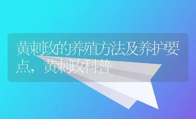 黄刺玫的养殖方法及养护要点,黄刺玫科普 | 养殖常见问题
