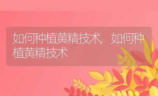 如何种植黄精技术,如何种植黄精技术 | 养殖常见问题