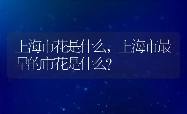 上海市花是什么,上海市最早的市花是什么？ | 养殖常见问题