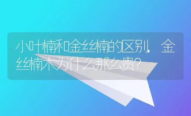 小叶楠和金丝楠的区别,金丝楠木为什么那么贵？ | 养殖常见问题