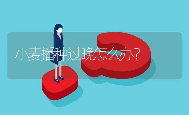 小麦播种过晚怎么办? | 养殖问题解答