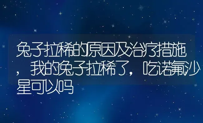 兔子拉稀的原因及治疗措施,我的兔子拉稀了，吃诺氟沙星可以吗 | 养殖常见问题