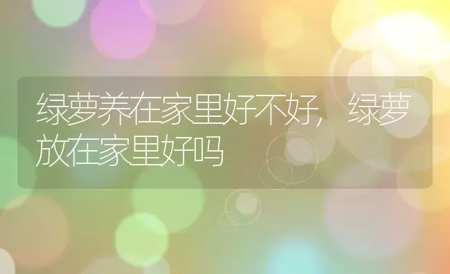 发财树栽种方法和注意事项,发财树怎么养，喜阳还是喜阴？ | 养殖常见问题