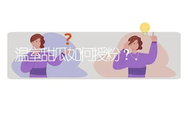 温室甜瓜如何授粉? | 养殖问题解答