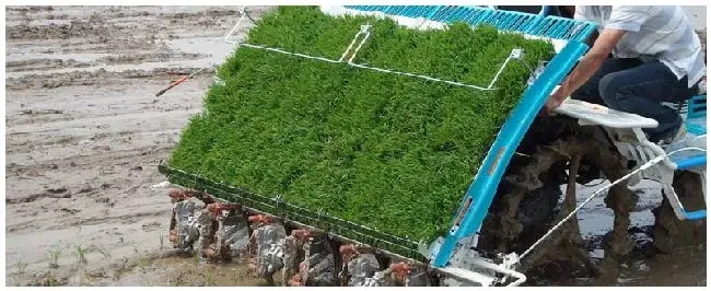 久保田插秧机取秧量怎么调节 | 农业常识