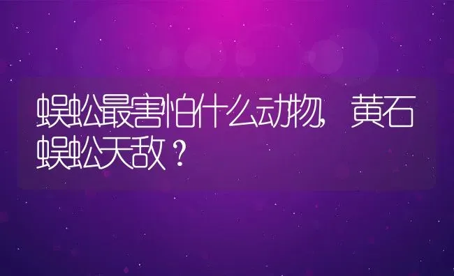 蜈蚣最害怕什么动物,黄石蜈蚣天敌？ | 养殖常见问题