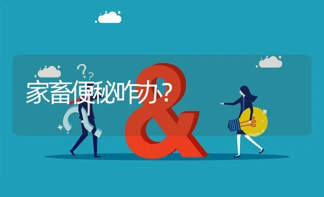 家畜便秘咋办? | 养殖问题解答