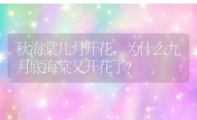 秋海棠几月开花,为什么九月底海棠又开花了？ | 养殖常见问题