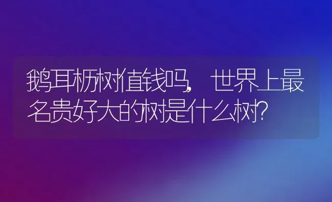 鹅耳枥树值钱吗,世界上最名贵好大的树是什么树？ | 养殖常见问题