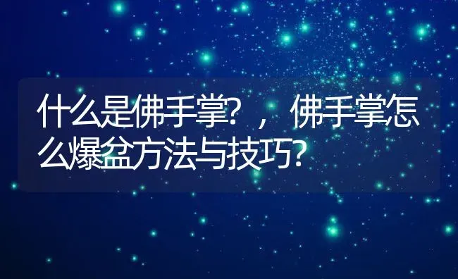 什么是佛手掌?,佛手掌怎么爆盆方法与技巧？ | 养殖常见问题