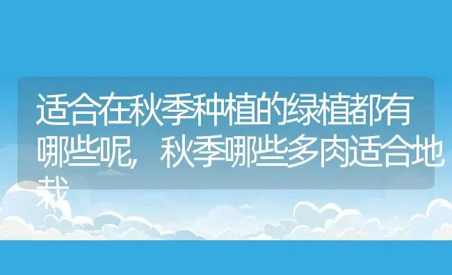 适合在秋季种植的绿植都有哪些呢,秋季哪些多肉适合地栽 | 养殖常见问题