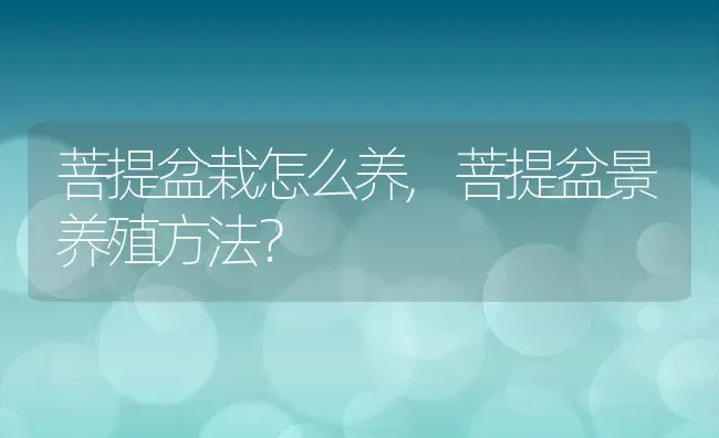 菩提盆栽怎么养,菩提盆景养殖方法？ | 养殖常见问题